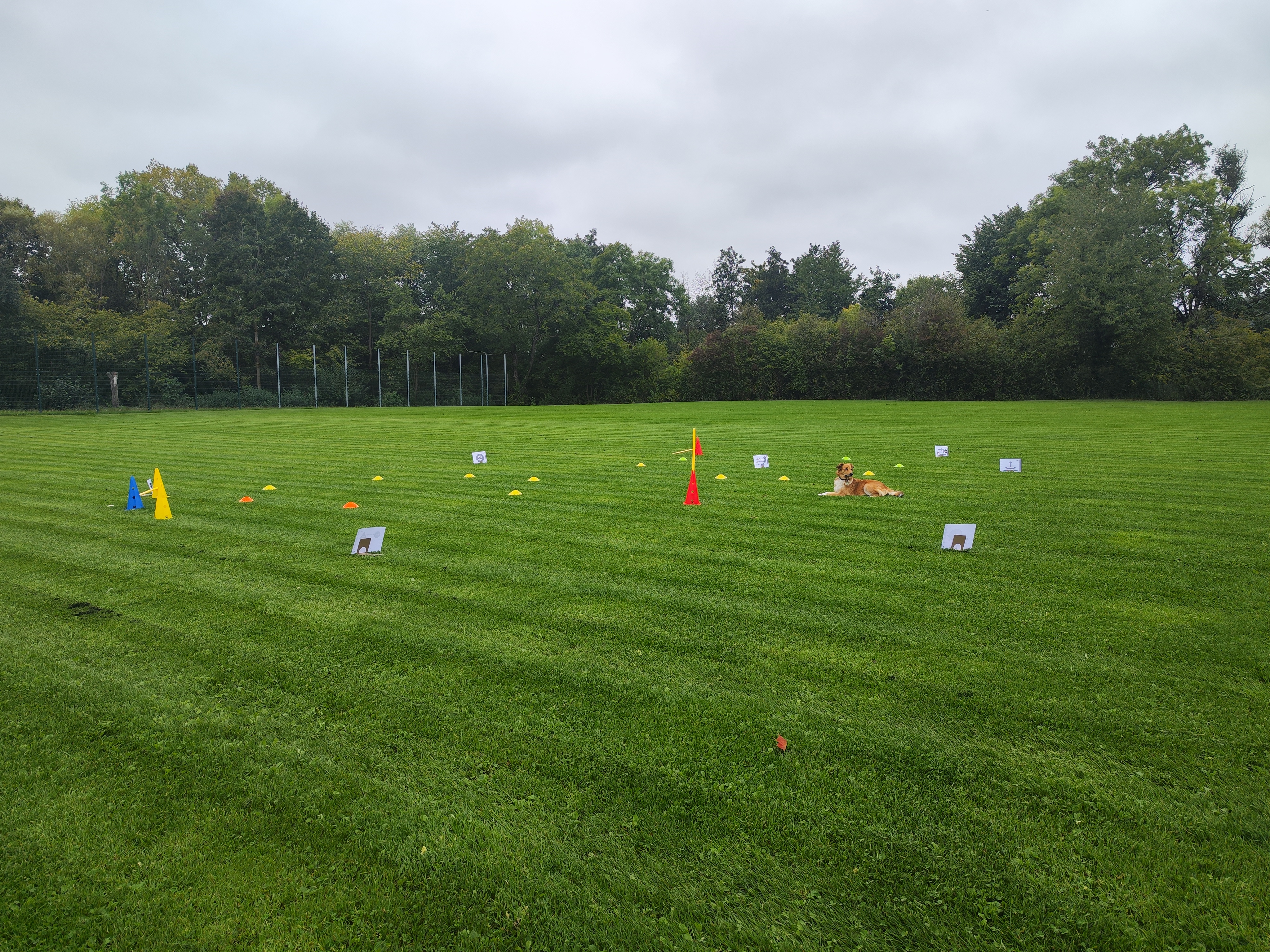 Seminare und Workshops